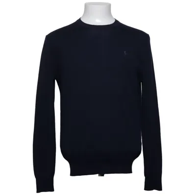 Sweater (Blue) from Polo Ralph Lauren Merino wool