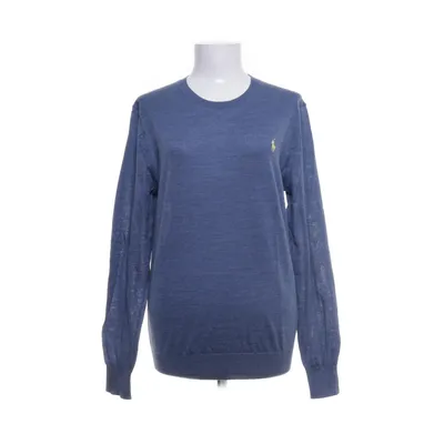 Sweater (Blue) from Polo Ralph Lauren Merino wool