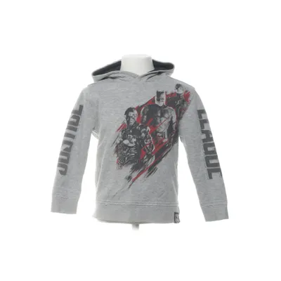Hoodie (Gray) from Zara Boys