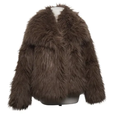 Winter jacket (Brown) from Zara Polyester
