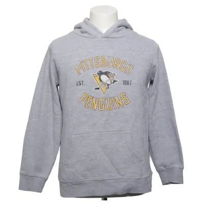Hoodie (Gray, Multicolored) from Fanatics Cotton, Polyester