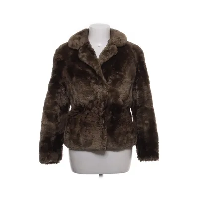 Bontjack (Bruin) Bont