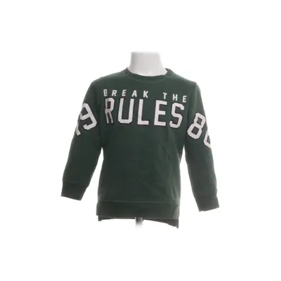 Sweatshirt (Groen, Meerkleurig) van Scamps & boys Polyester