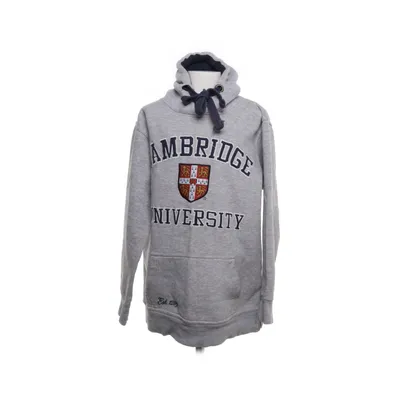 Hoodie (Gray, Multicolored) from University of Cambridge