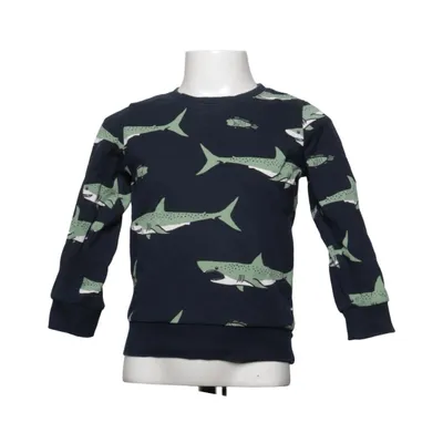 Sweatshirt (Blå, Grøn) fra Lindex Kids Bomuld
