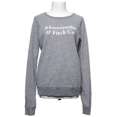 Sweatshirt (Grå) fra Abercrombie & Fitch