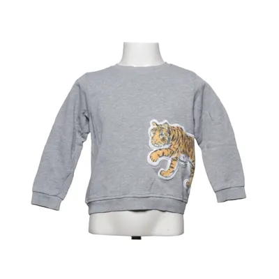 Sweatshirt (Gray, Multicolored) from The Striped Cat Organic cotton