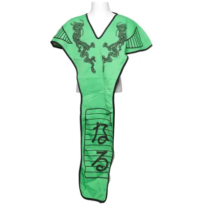 Maskeradkläder (Grön, Svart) från RIO Polyester