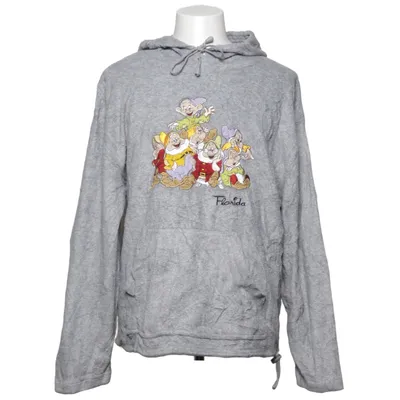 Hoodie (Gray, Multicolored) from Disney Polyester