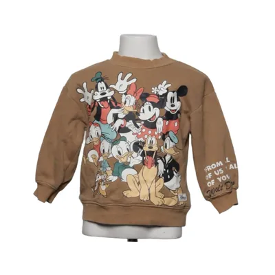Sweatshirt (Bruin, Meerkleurig) van H&M x Disney