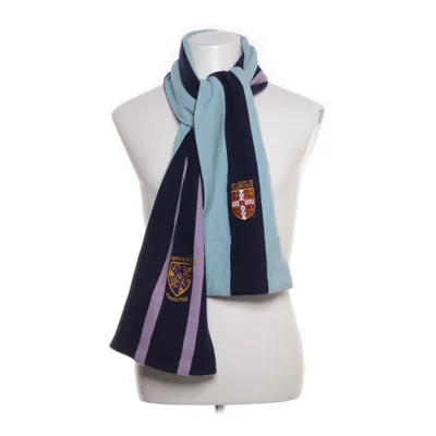 Scarf (Blue, Multicolored) from Ryder Amies