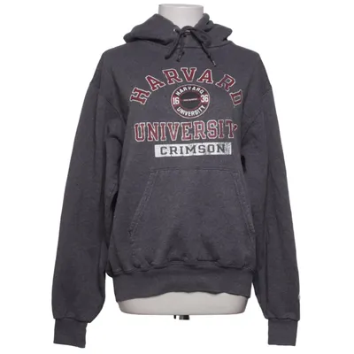 Hoodie (Gray) from Champion