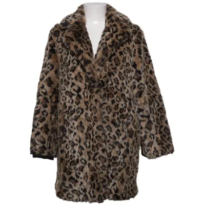 Winter jacket (Brown, Black) from Zara Basic Outerwear Elastane, Polyester