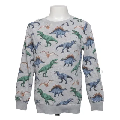 Sweatshirt (Grå, Flerfarvet) fra H&M