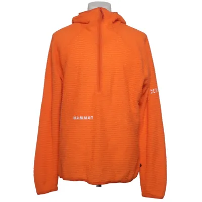 Hoodie (Eiger Free Ml) from Mammut Polyester