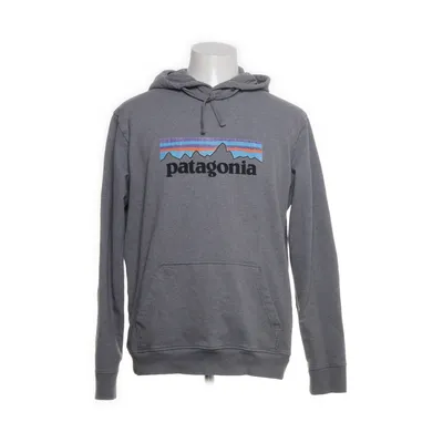Hoodie (Gray) from Patagonia