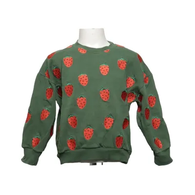 Sweatshirt (Green, Red) from Mini Rodini Organic cotton