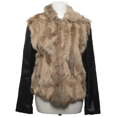 Bontjack (Bruin, Zwart) van Hollies