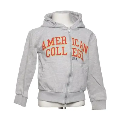 Sweat à capuche (Gris) de American College Coton, Viscose