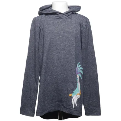 Capuchon sweater (Grijs) van Fitz