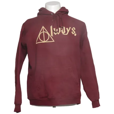 Hoodie (Red) from Hanes