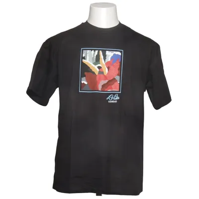 T-shirt (Svart, Flerfärgad) från Hanes