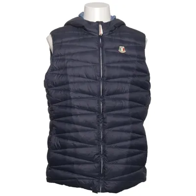 Outer vest (Blue) from Dolomite Down, Feather, Polyamide