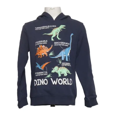 Hoodie (Dino World) from Anko Cotton, Polyester