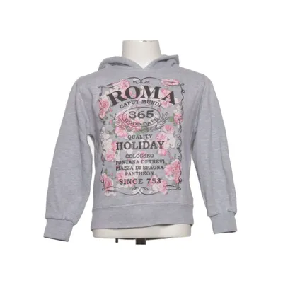 Hoodie (Gray, Multicolored) from Lemon Collection Cotton, Polyester