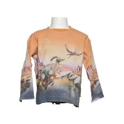 Langærmet t-shirt (Flerfarvet) fra Molo Økologisk bomuld