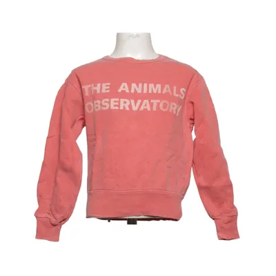 Sweatshirt (Rød) fra The Animals Observatory Bomuld