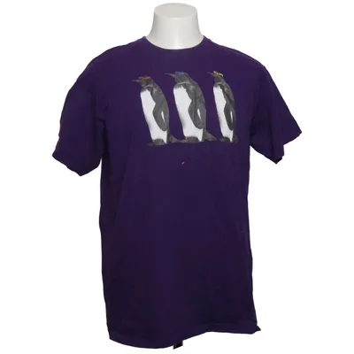 T-shirt (Lila) från Fruit of the Loom Bomull
