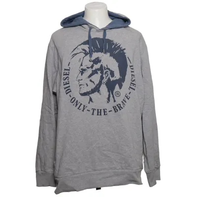 Hoodie (Gray, Blue) from Diesel Cotton, Leather