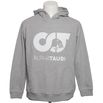 Hoodie (Gray) from Alphatauri