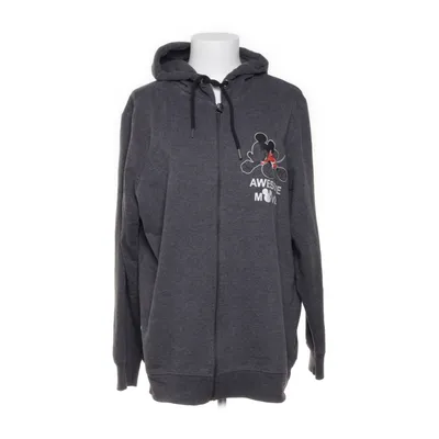Capuchon sweater (Grijs) van Disney