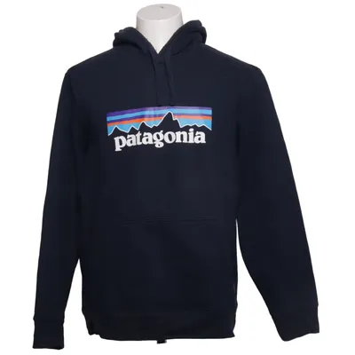 Hoodie (Blue) from Patagonia