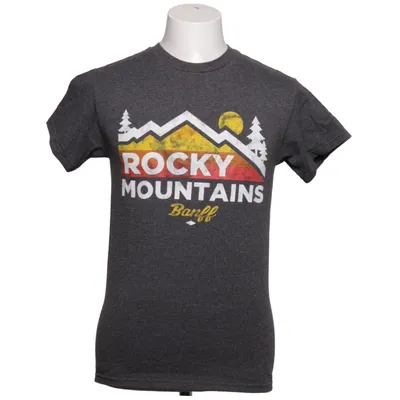 T-shirt (Gray) from Alstyle Cotton, Polyester