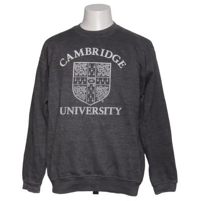 Sweatshirt (Grijs) van University of Cambridge