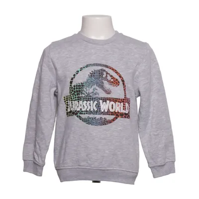 Sweatshirt (Gray, Multicolored) from Jurassic World