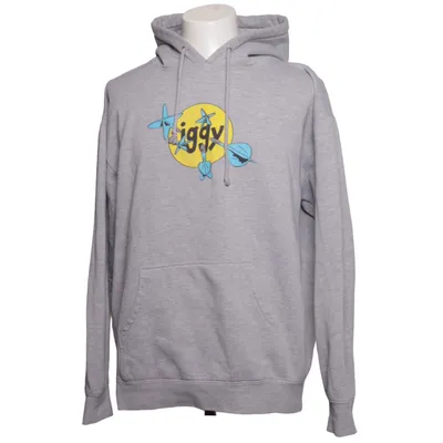 Hoodie (Gray, Multicolored) from Iggy