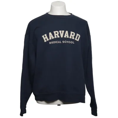 Sweatshirt (Blå) fra Champion