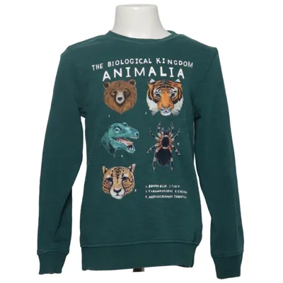 Sweatshirt (Grün) von Kelzuki x H&M Baumwolle, Polyester