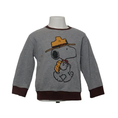 Sweatshirt (Grå, Brun, Flerfarvet) fra Zara x Peanuts