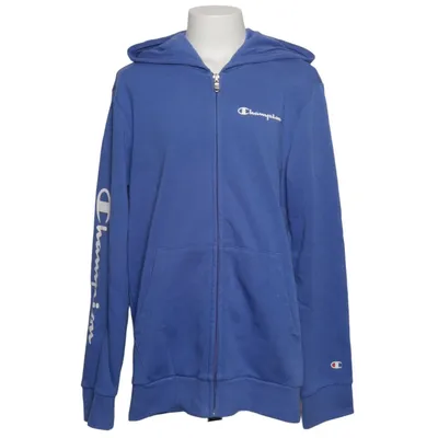 Hoodie (Blue) from Champion
