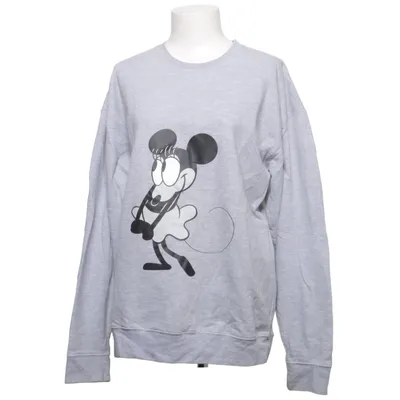 Sweatshirt (Gray) from Hanes Acrylic, Polyester