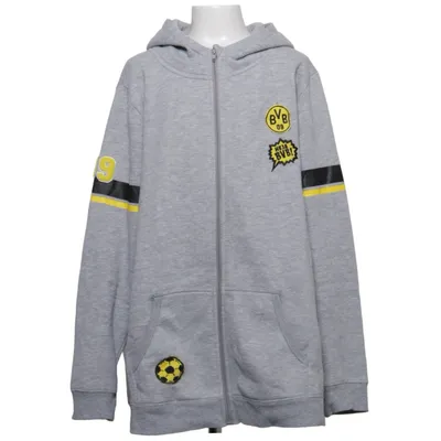 Hoodie (Gray, Multicolored) from BVB