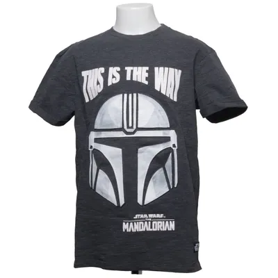 T-shirt (Grå) från Star Wars Bomull, Polyester