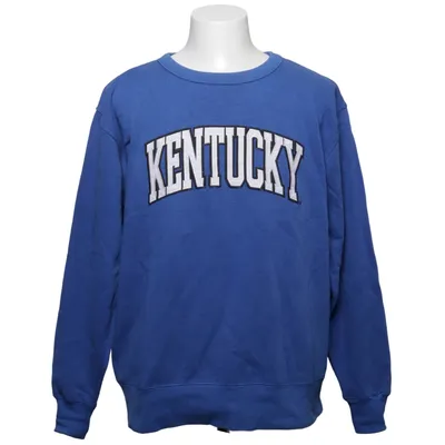 Sweatshirt (Blue) from Majestic Cotton, Polyester