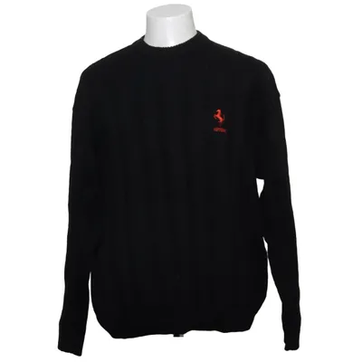 Sweater (Black) from Ferrari Wool