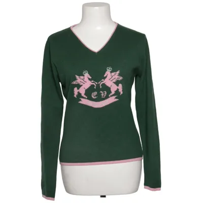 Trui (Groen, Roze) van Evisu Kasjmier